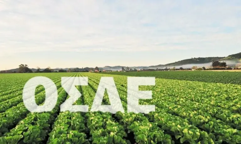 «Έμφραγμα» στον ΟΠΕΚΕΠΕ: 900.000 αγροτεμάχια «όμηροι» και το σύστημα κλειστό – Κίνδυνος για ποινές