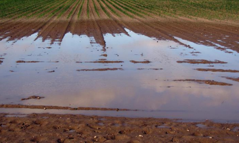 «Τελεσίγραφο» στη Μάνη: Λήγει η προθεσμία για τις δηλώσεις ζημιών – Τι ισχύει για ΕΛΓΑ και Έκτακτη Ανάγκη