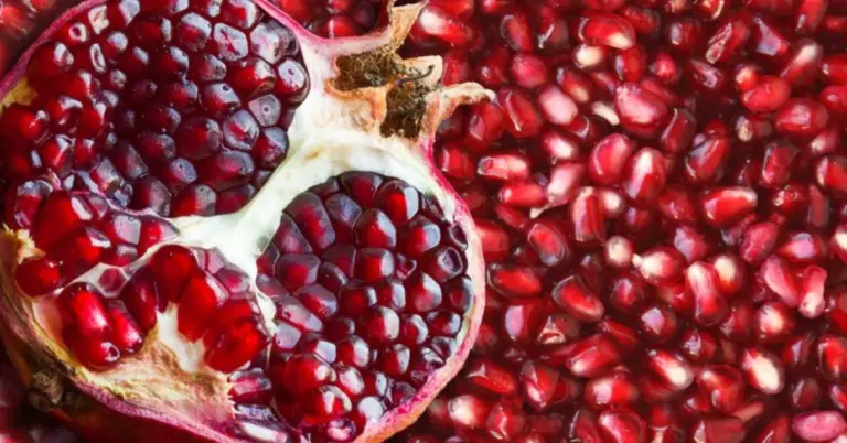 Ρόδι Ερμιόνης: Μείωση 40% στην παραγωγή και «SOS» εγκατάλειψης – Πού έφτασαν οι τιμές