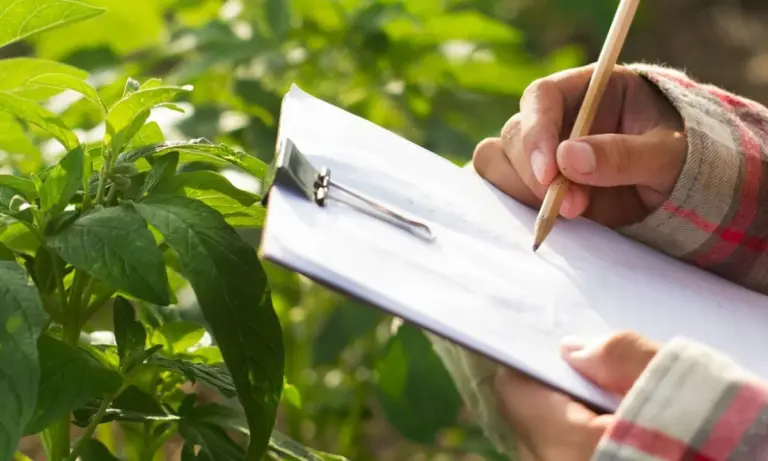 «Σκάει» η αγορά στη Θεσσαλία: Γεμάτα τα τεφτέρια στα Γεωπονικά – Ζητούν άμεσα μέτρα για να μην κλείσουν