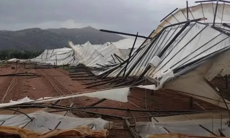 «Σαρώνουν» οι Νοτιάδες την Κρήτη: Κατέρρευσαν θερμοκήπια στην Ιεράπετρα – Κλειστοί δρόμοι