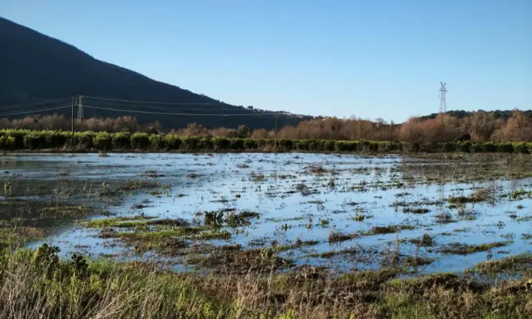 Πλημμύρες και λάσπες πάνε πίσω τις καλλιέργειες: Απελπισία σε Έβρο και Πελοπόννησο