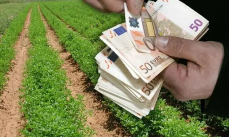 Ιταλία: «Πάγωσαν» περιουσίες 4 κτηνοτρόφων για επιδοτήσεις – Τι είναι ο «κωδικός βόσκησης»