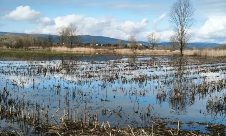 Πύργος: Στα 15 εκατ. ευρώ ο «λογαριασμός» της κακοκαιρίας – Διαλυμένη η αγροτική οδοποιία