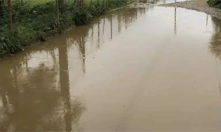 Σουφλί: Κάτω από τα νερά του Έβρου 60.000 στρέμματα – Σε απόγνωση οι αγρότες