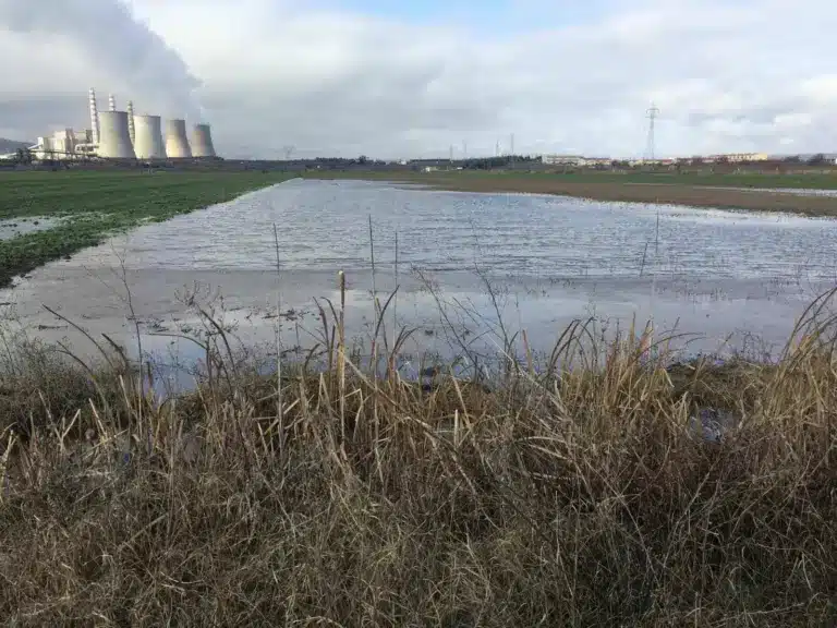 Σε απόγνωση οι αγρότες στην Κοζάνη: Πλημμύρισαν ξανά 1.000 στρέμματα στο Μαυροδέντρι