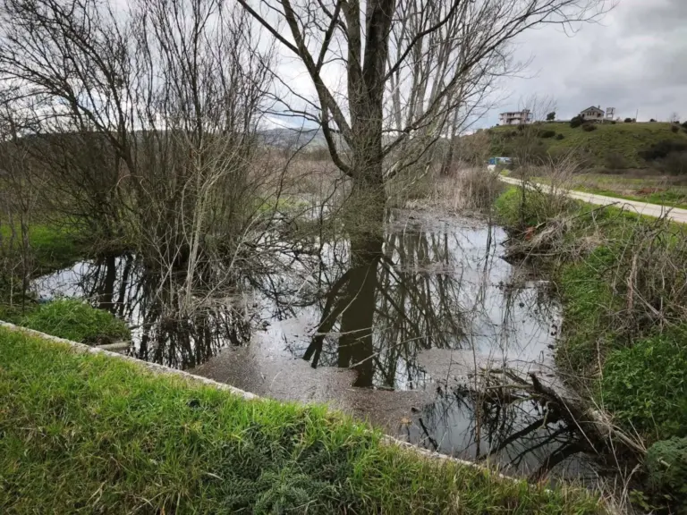 Λαψίστα: «Κλείδωσαν» οι αποζημιώσεις στο 100% – Πότε πληρώνονται οι παραγωγοί