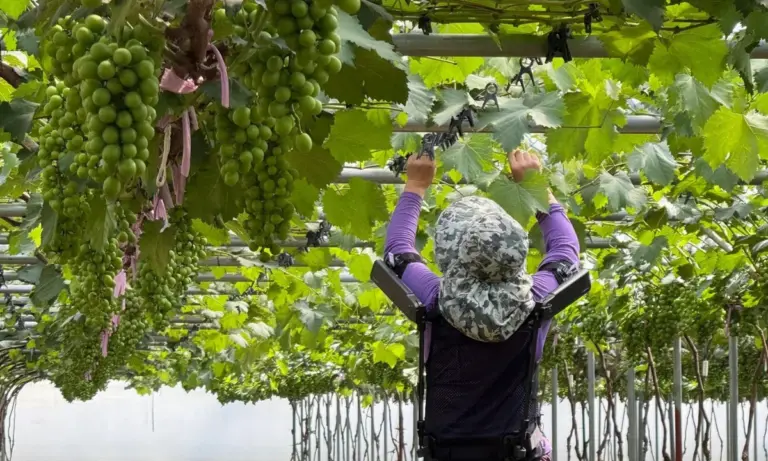 Ρομποτικό γιλέκο από τη Hyundai μειώνει 22% την καταπόνηση των αγροτών