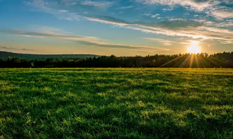 Νέοι Αγρότες: Στα 13,5 εκατ. ευρώ η δαπάνη για την υποχρεωτική κατάρτιση