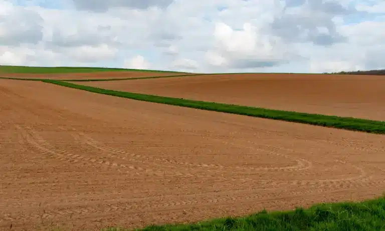 ΥΠΑΑΤ: Τελεσίγραφο στους Αγροτικούς Συνεταιρισμούς έως τις 27/2