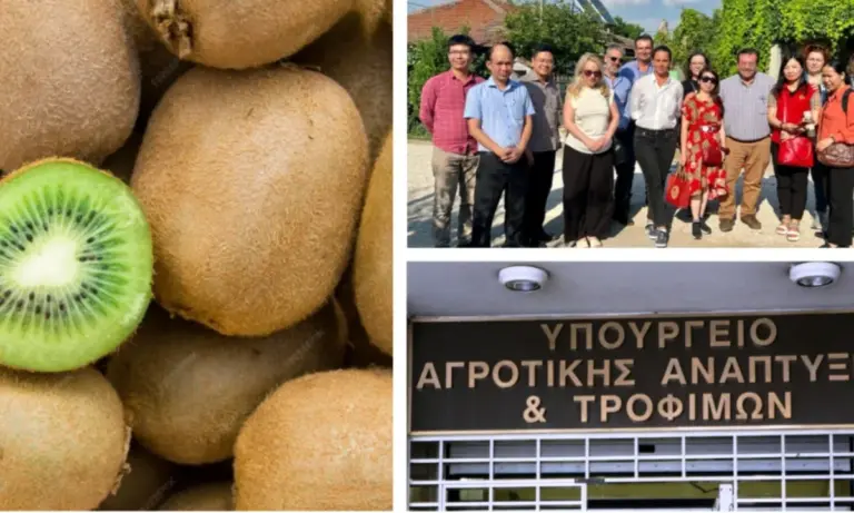 «Πράσινο φως» για το ελληνικό ακτινίδιο στο Βιετνάμ – Μια επιτυχία 10 ετών