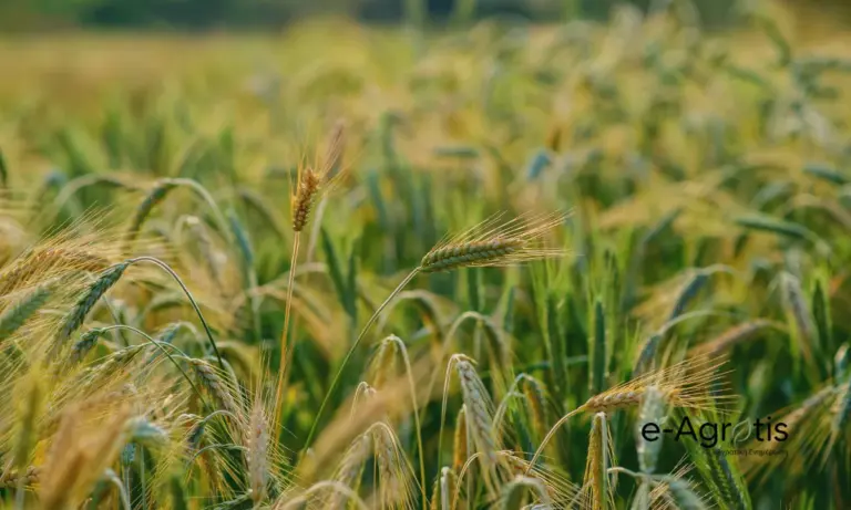 ΕΕ: Εξορθολογισμός στους κανόνες για τα βιοκτόνα – Παράταση στην προστασία δεδομένων έως το 2030