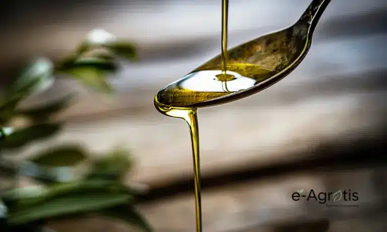 Τιμές Ελαιολάδου: «Κλείδωσαν» στα 4,5 με 5,5 ευρώ – Τι θα κρίνει την αγορά τους επόμενους μήνες