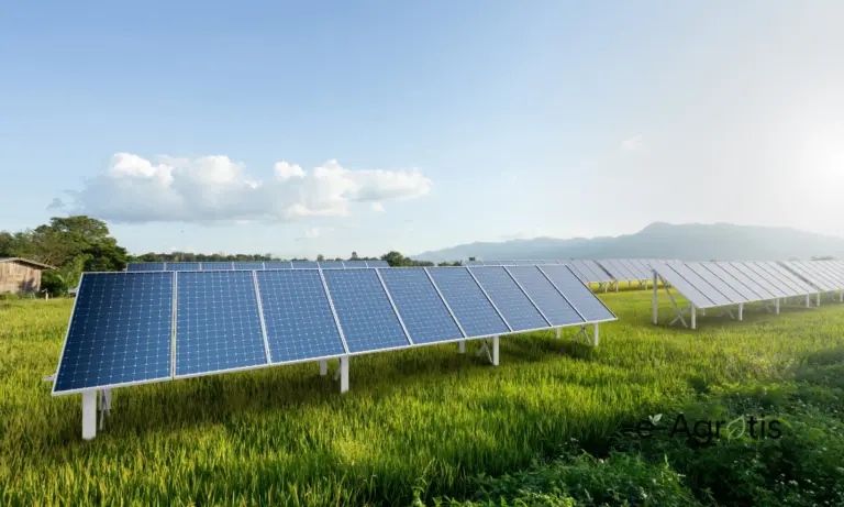 Αγροβολταϊκά: Ο απόλυτος παραλογισμός – Έφτιαξαν νόμο για αγρότες που τους… αποκλείει