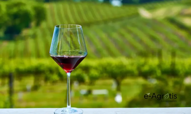 Ισπανία: «Γεννήθηκε» ο μεγαλύτερος οινοποιητικός συνεταιρισμός στον κόσμο