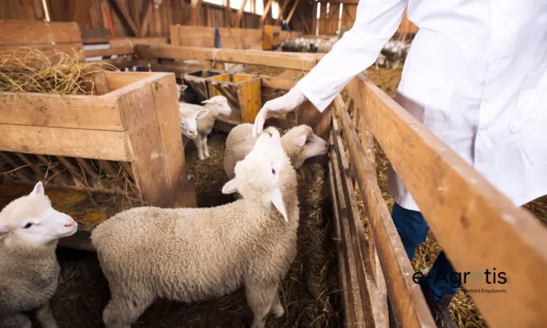 ΥΠΑΑΤ: Αντίστροφη μέτρηση για τις 49 έκτακτες προσλήψεις λόγω ευλογιάς – Ποιες ειδικότητες ζητούνται