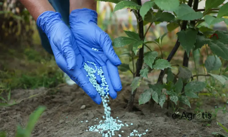 Εφιάλτης στο χωράφι: Αλματώδης αύξηση της ουρίας από τα 420 στα 590 δολάρια ο τόνος σε μόλις 3 ημέρες!