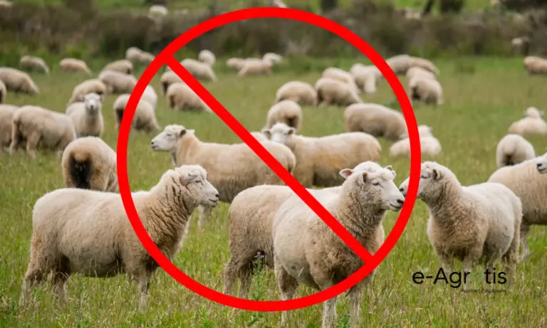 Ευλογιά: Νέα παράταση των μέτρων στη Δυτική Μακεδονία μέχρι τον Ιούνιο