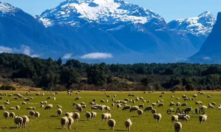 Ευλογιά αιγοπροβάτων: Ασύλληπτη τραγωδία με 481.359 θανατώσεις – Ο χάρτης των 10 νέων κρουσμάτων