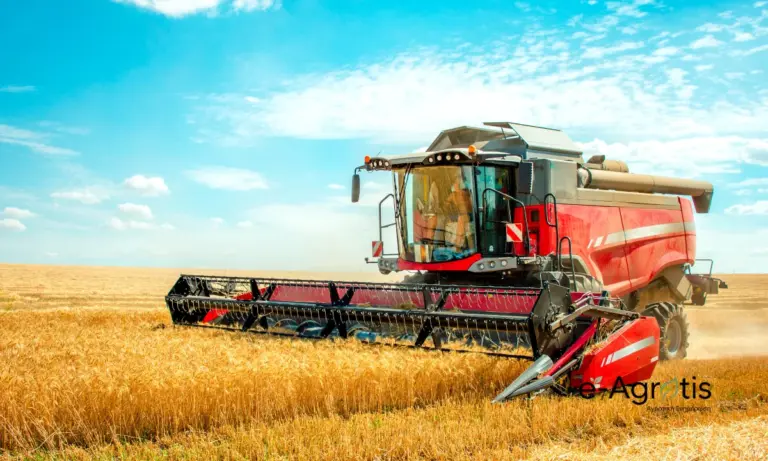 Ανοιξιάτικη ζιζανιοκτονία στο σιτάρι: Το «κλειδί» για να μην χάσετε έως και το 40% της παραγωγής σας