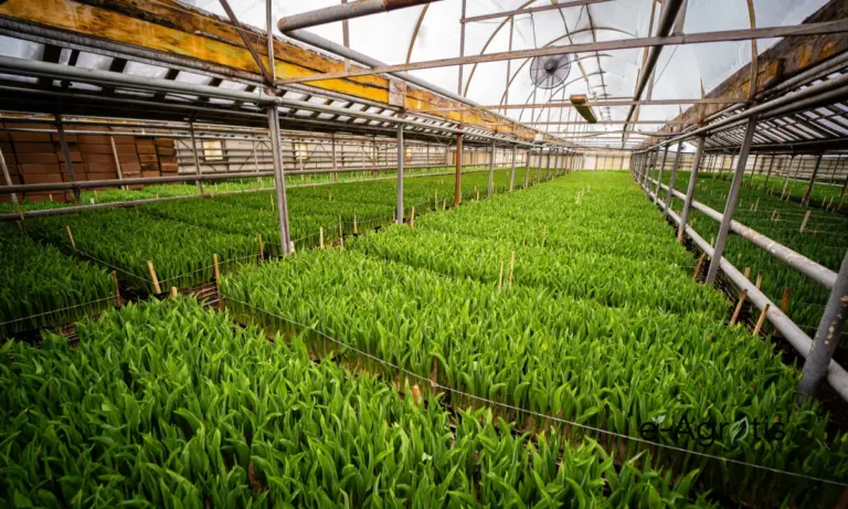 Νέες τεχνολογίες άρδευσης και δυναμική θερμοκηπίων: Πώς αλλάζουν οριστικά το τοπίο στον πρωτογενή τομέα