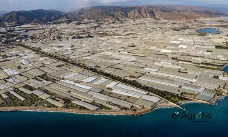 Αλμερία: Το μεγαλύτερο θερμοκήπιο της Ευρώπης που φαίνεται από το Διάστημα