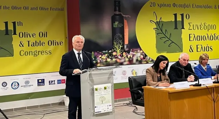 Ελαιοκομικό Μητρώο 2026: Προθεσμίες και πρόστιμα για παραγωγούς