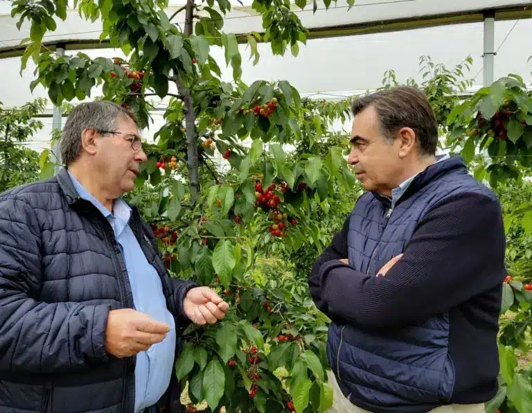 Μ. Σχοινάς: Τα κεράσια δείχνουν τον δρόμο της επιτυχίας στην ελληνική γεωργία