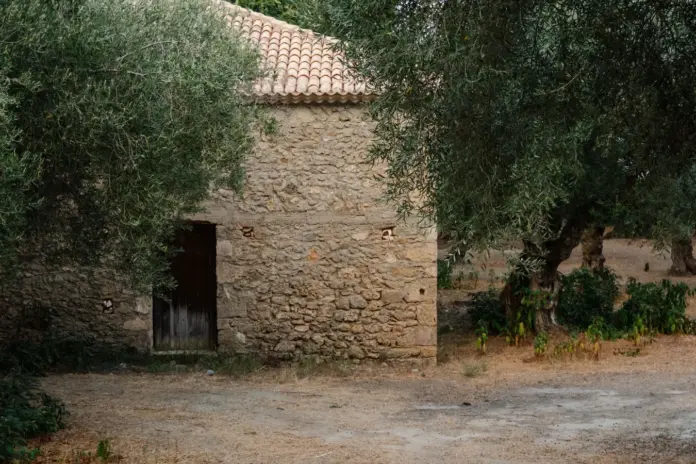 Ιταλία εναντίον Ισπανίας για το ελαιόλαδο — ποιος θα ελέγξει τα Bertolli και Carapelli;