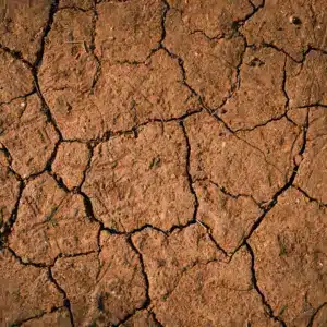 Ξηρασία στη Γαλλία: έως 50% λιγότερη πατάτα, 80% απώλειες σε λαχανικά