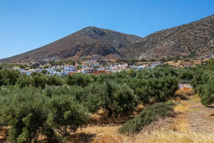 Οικολογικά Σχήματα 2026: Πώς θα πληρωθείτε την ενίσχυση στα 10 ecoschemes
