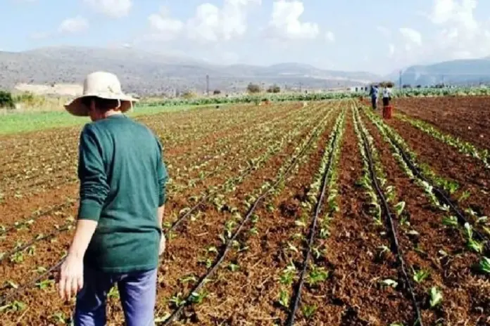 Θεσσαλία: Κίνδυνος για άσπαρτα χωράφια λόγω ΟΣΔΕ και καυσίμων