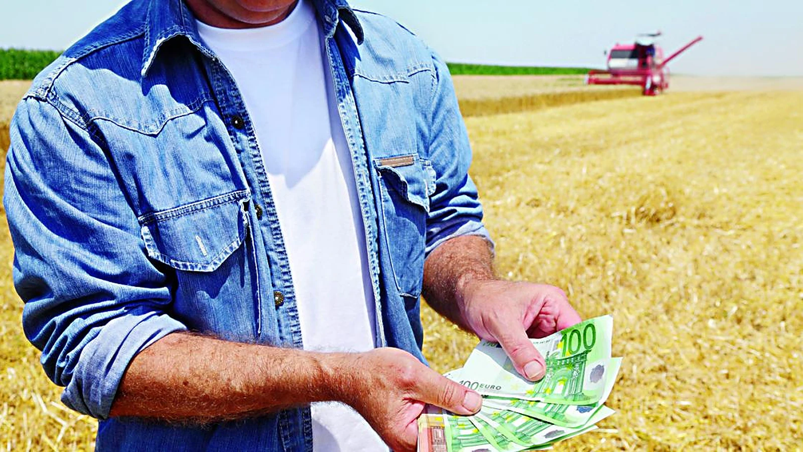 Σχέδια Βελτίωσης: Πόσο επιδοτείται η αμοιβή του μελετητή – Γενικές δαπάνες, μελέτες και τα όριά τους