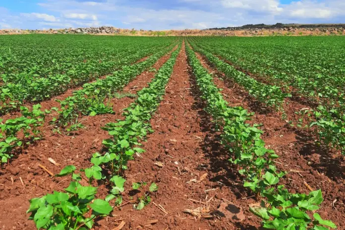 AGRILABS Πανεπιστήμιο Θεσσαλίας: 4 εκατ. ευρώ για τεχνολογία στο χωράφι