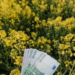 Ιόνια Οδός: Χωρίς αποζημιώσεις για γη και ελιές οι αγρότες στην Αμφιλοχία