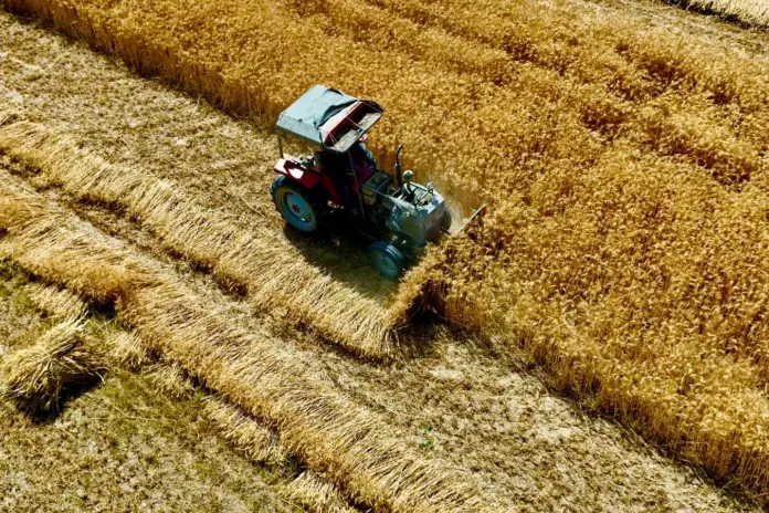 Αγρότης με τρακτέρ σε χωράφι με σιτάρι – αγροτικό πετρέλαιο στην αντλία
