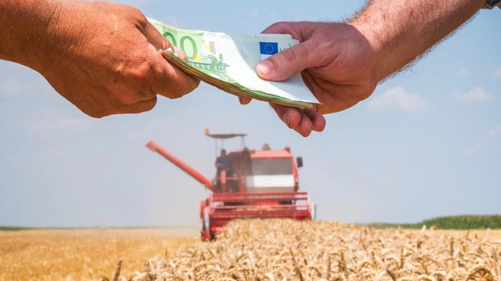 Προκαταβολή έως 50% στα Σχέδια Βελτίωσης: Πώς τη ζητάτε και τι πρέπει να ξέρετε για την εγγυητική επιστολή