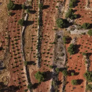 Σχέδια Βελτίωσης σε νησιά και περιοχές Δίκαιης Μετάβασης: Υψηλότερη επιδότηση, χαμηλότερη βάση βαθμολογίας και
